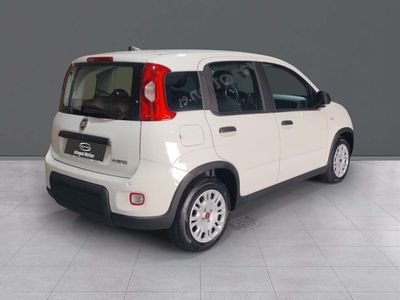 fiat-panda-panda-1-0-hybrid-51kw-70cv-4 Thumbnail