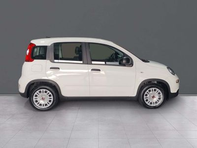 fiat-panda-panda-1-0-hybrid-51kw-70cv-25 Thumbnail