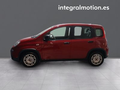 fiat-panda-panda-1-0-hybrid-51kw-70cv-23 Thumbnail