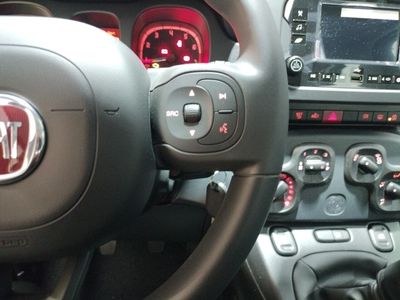 fiat-panda-panda-1-0-hybrid-51kw-70cv-12 Thumbnail