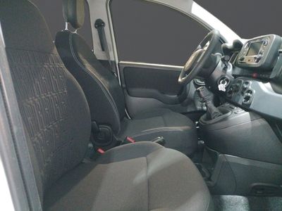 fiat-panda-panda-1-0-hybrid-51kw-70cv-8 Thumbnail