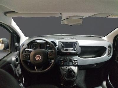 fiat-panda-panda-1-0-hybrid-51kw-70cv-6 Thumbnail