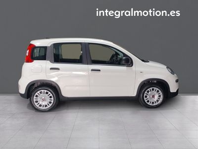 fiat-panda-panda-1-0-hybrid-51kw-70cv-25 Thumbnail