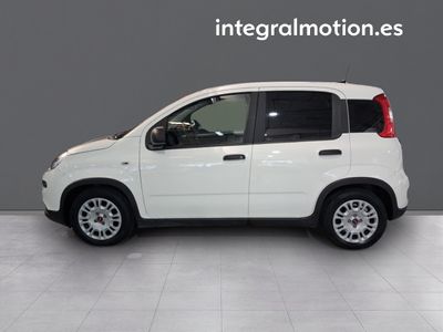 fiat-panda-panda-hybrid-1-0-51kw-70cv-23 Thumbnail