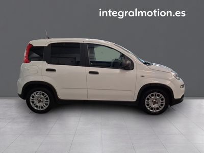 fiat-panda-panda-hybrid-1-0-51kw-70cv-25 Thumbnail
