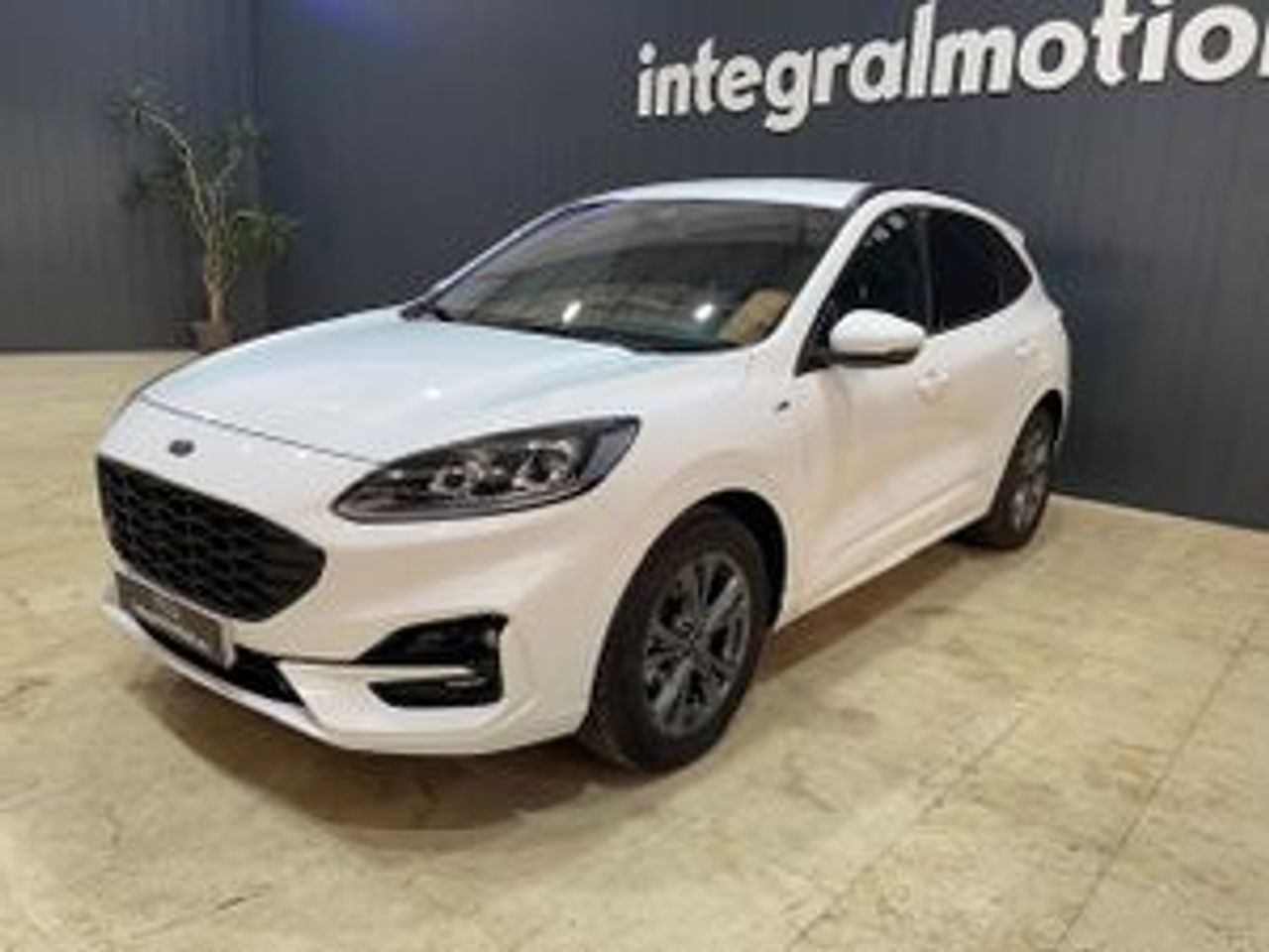 ford kuga 2022 / foto grande (2)