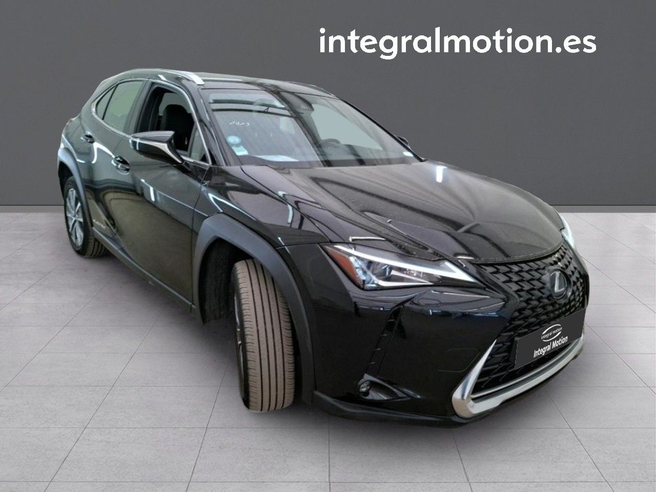 lexus ux 2021 / foto grande (3)