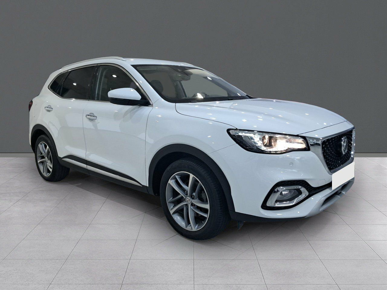 mg ehs 2022 / foto grande (3)