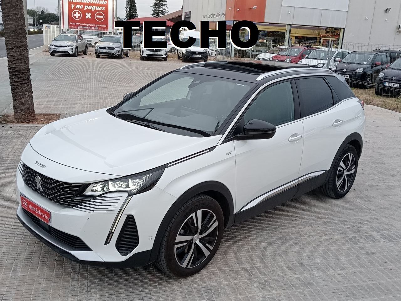 peugeot 3008 2022 /