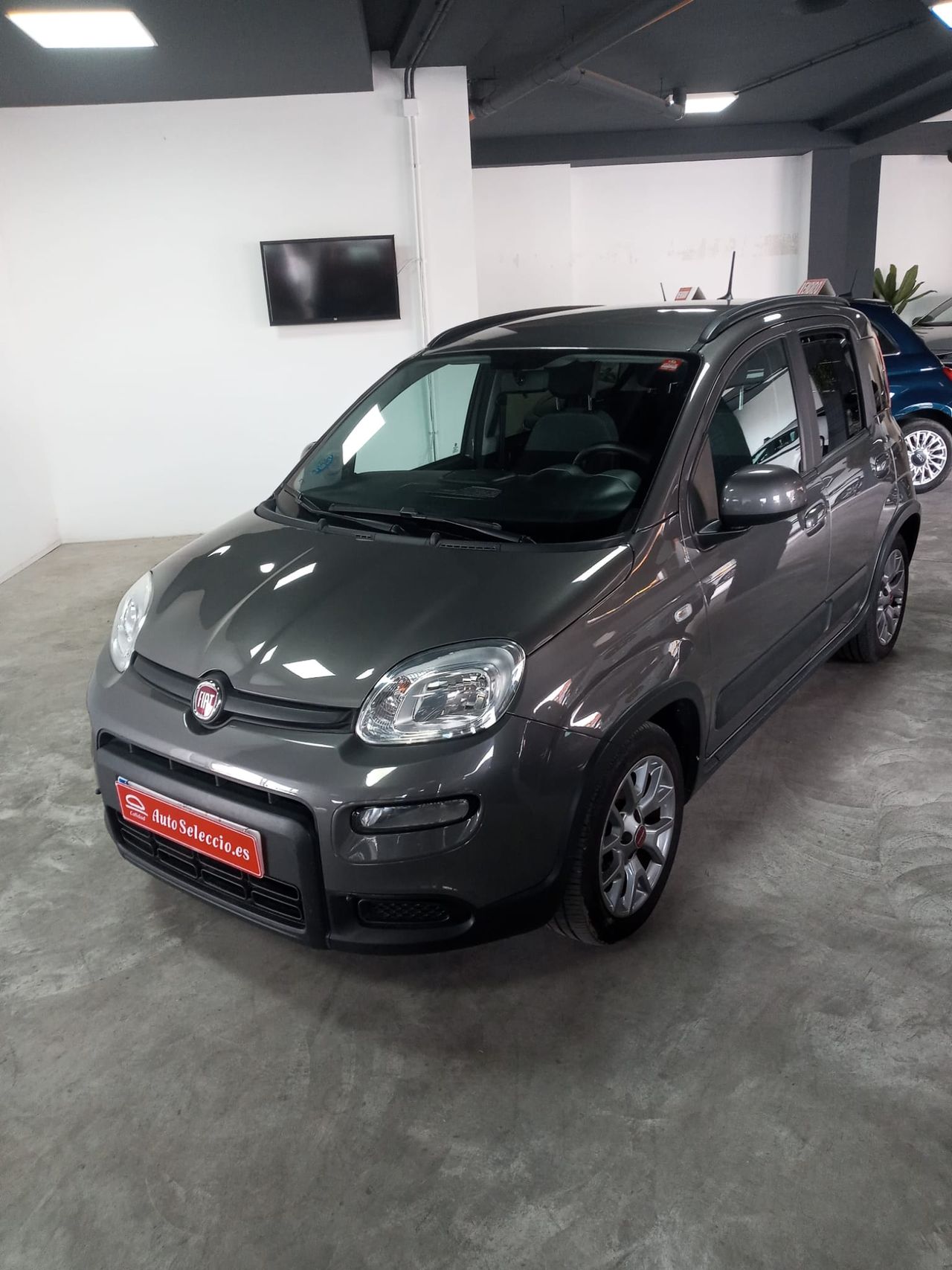 Foto fiat panda 2022 /