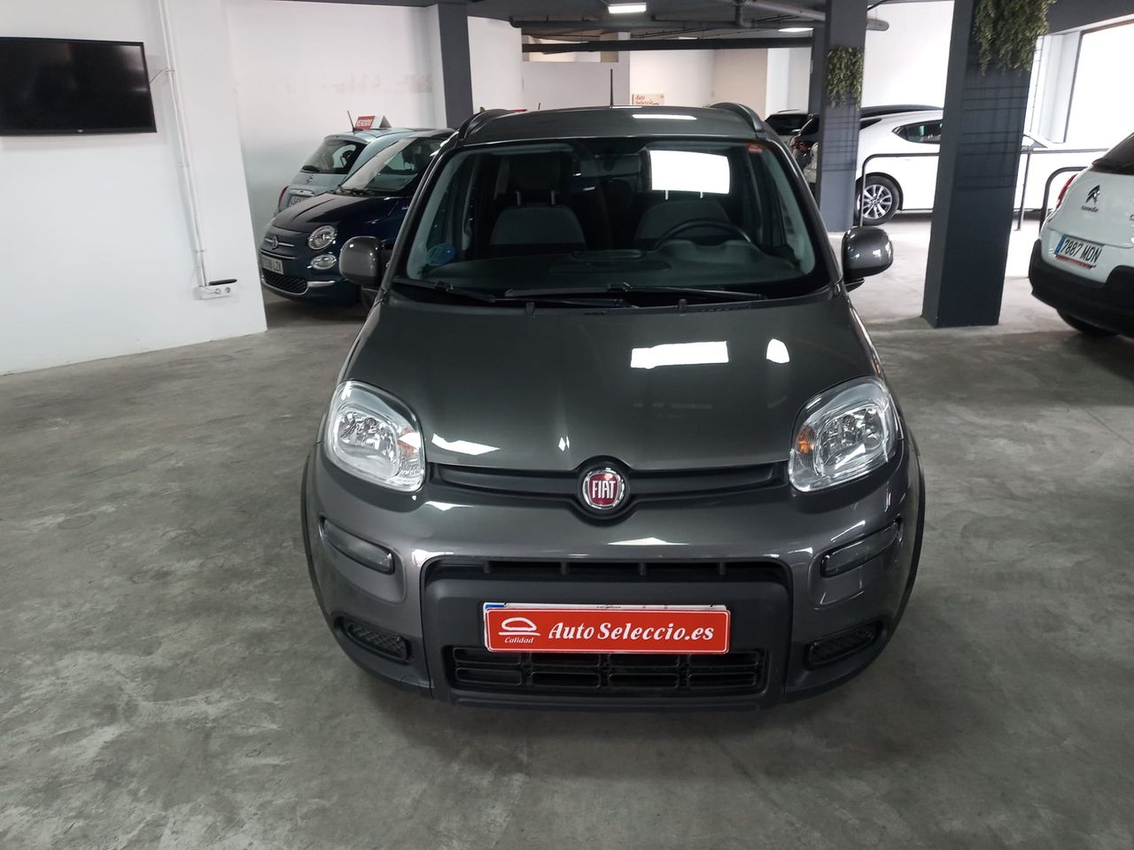 fiat panda 2022 / foto grande (3)