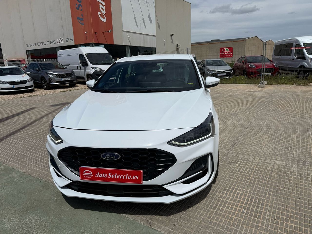 ford focus 2023 / foto grande (3)