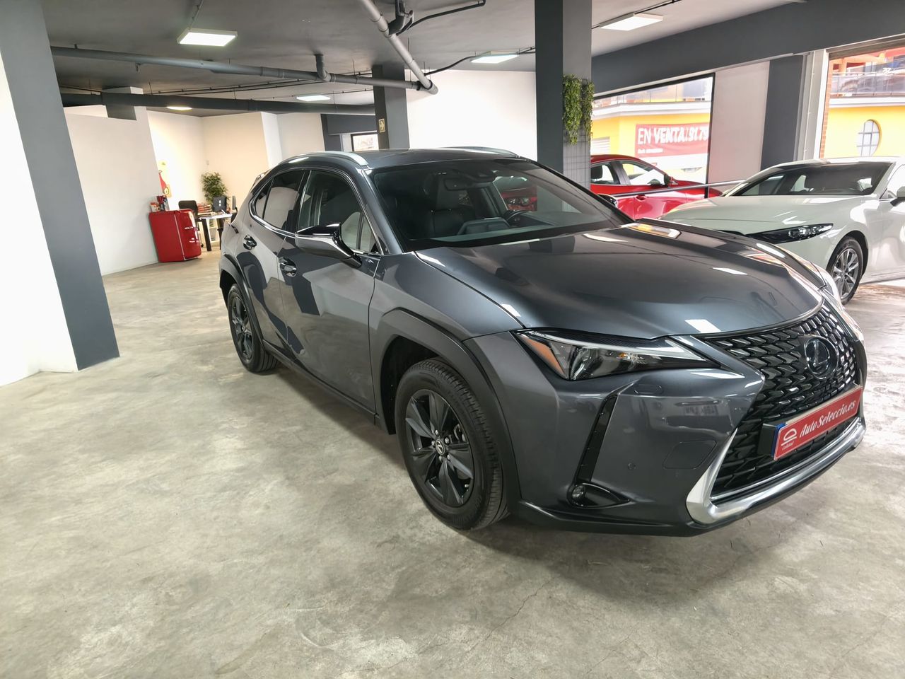 lexus ux 2023 / foto grande (3)