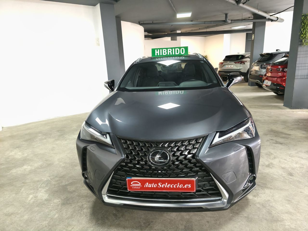 lexus ux 2023 / foto grande (2)