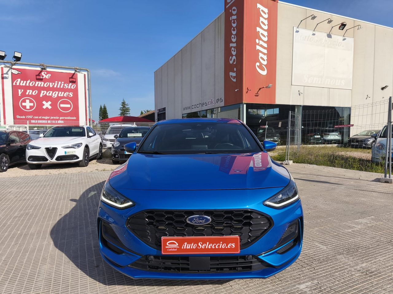 ford focus 2022 / foto grande (3)