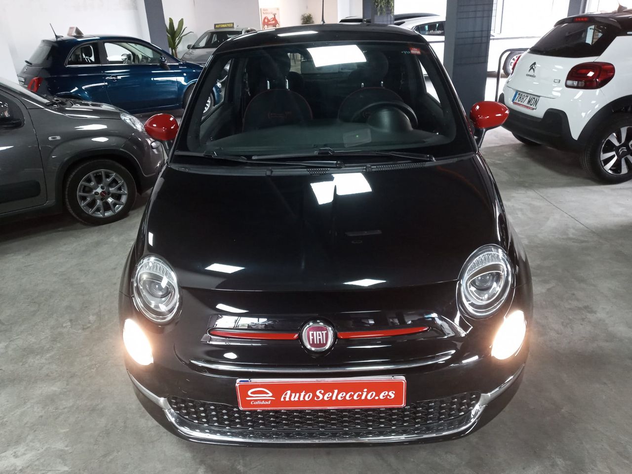 fiat 500 2022 / foto grande (3)