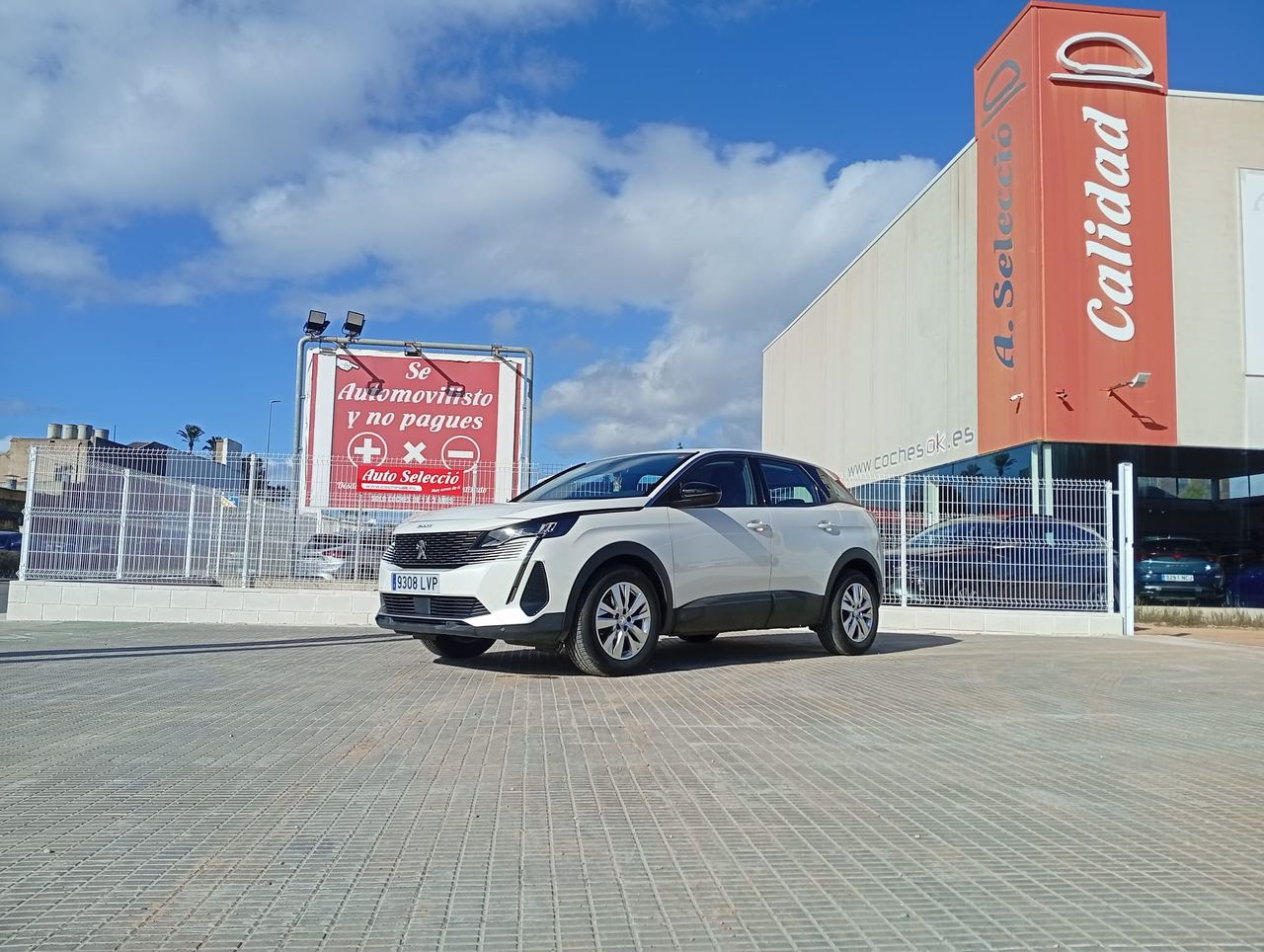 Brugt Peugeot 3008 1.5