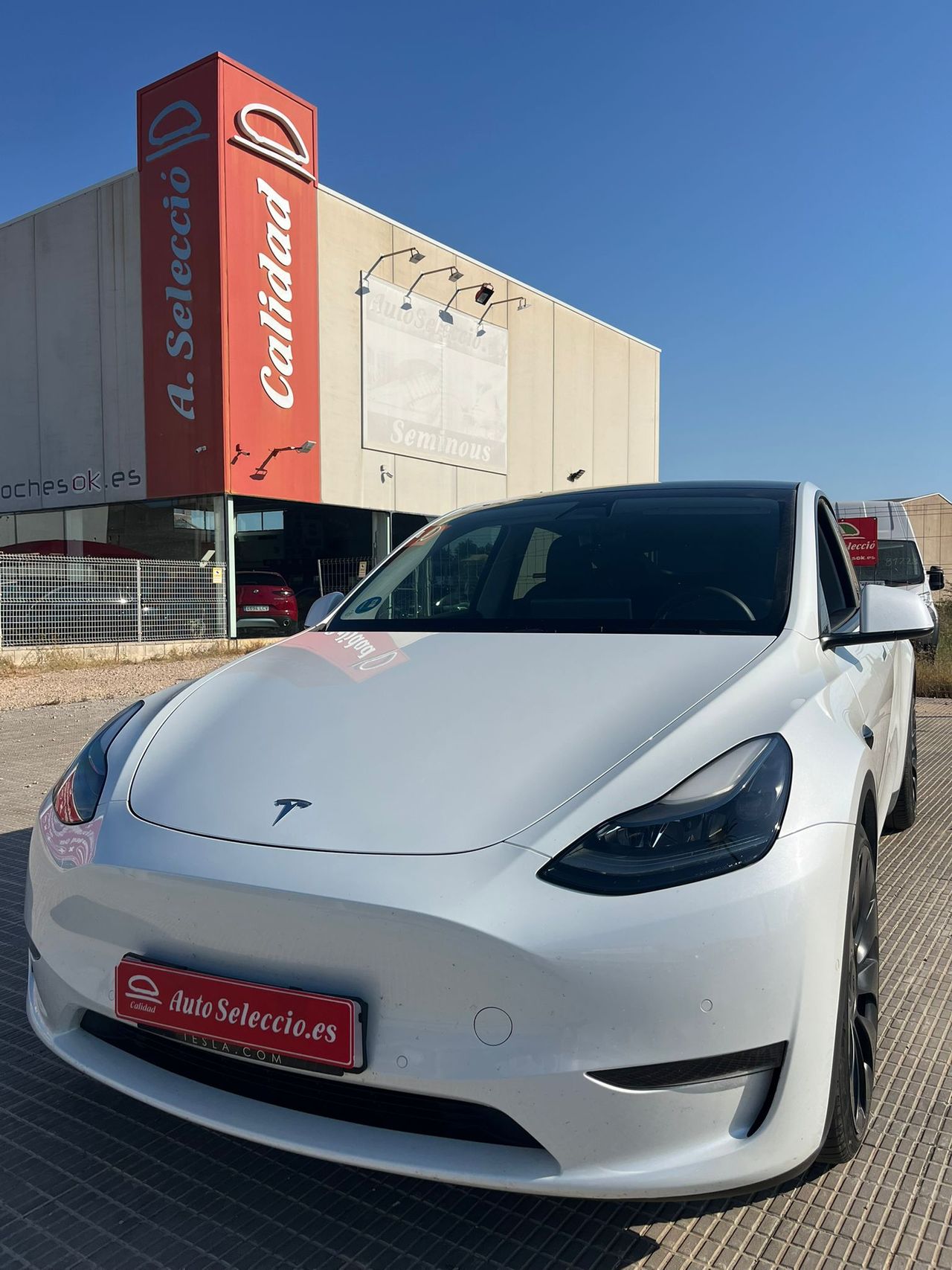 tesla model y 2022 / foto grande (2)