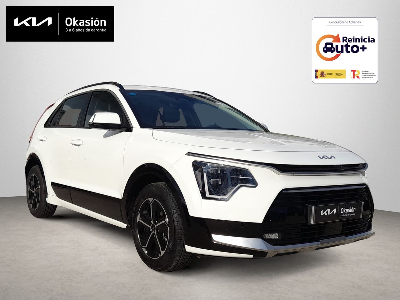 Foto kia niro 2025 /