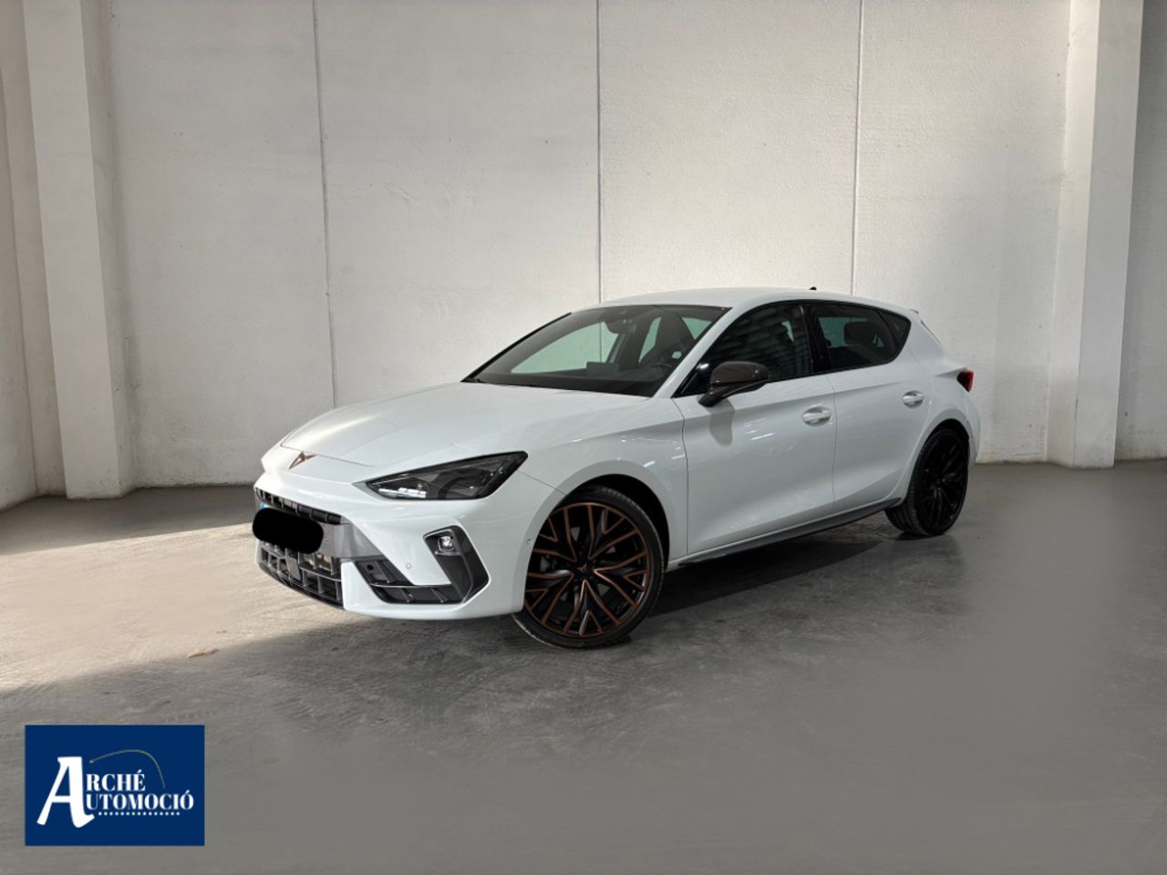 Brugt Cupra Leon 
