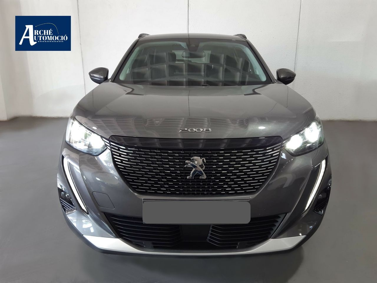 peugeot 2008 2021 / foto grande (3)