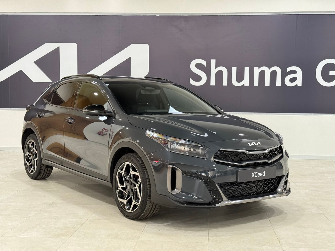 Kia ceed aguascalientes  de segunda mano - kia xceed 2025 /