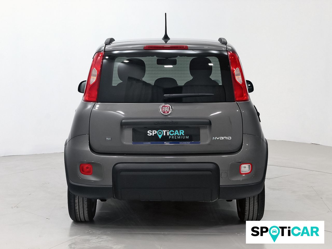 fiat panda 2022 / foto grande (3)