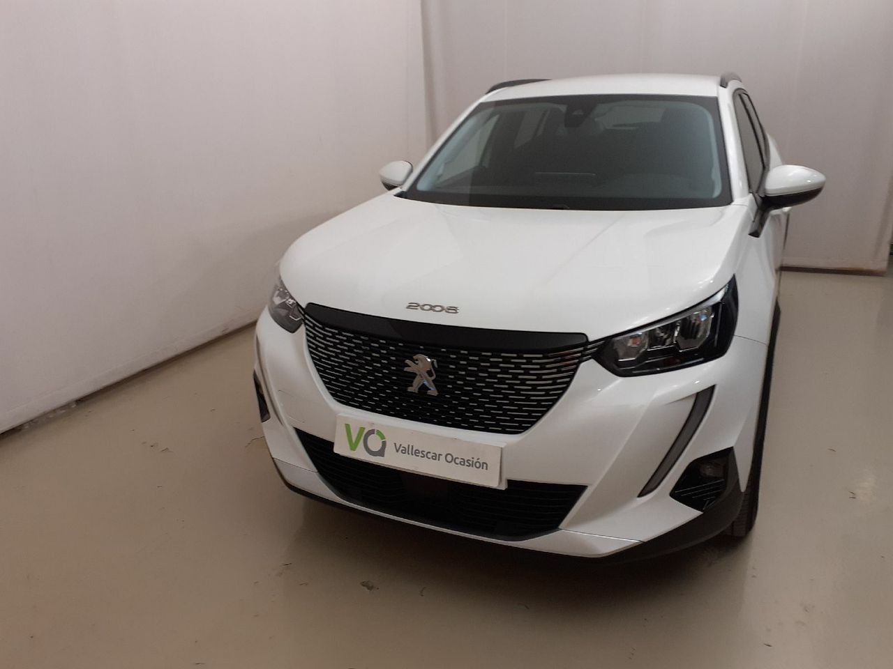 peugeot 2008 2021 / foto grande (2)