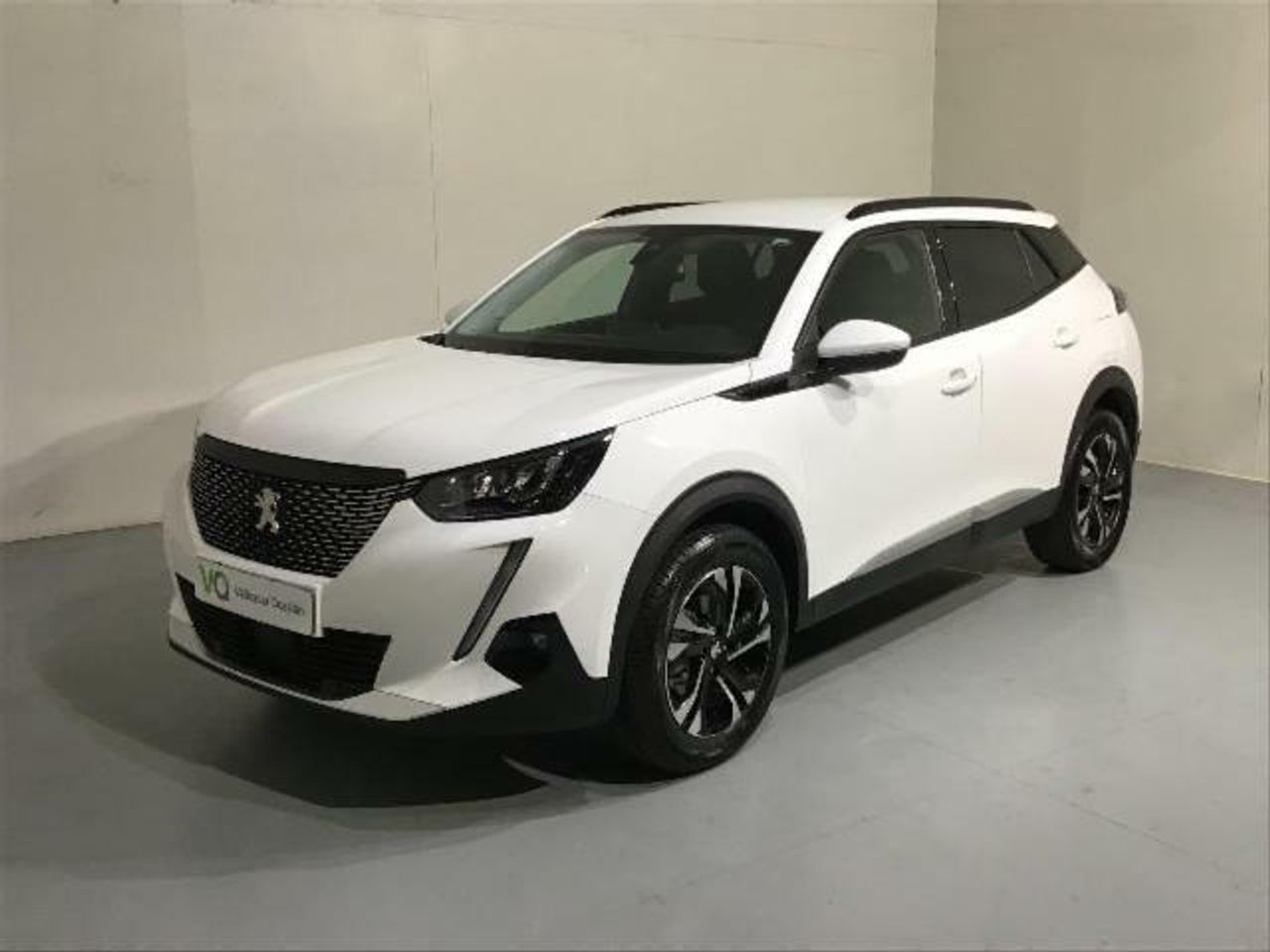 peugeot 2008 2021 / foto grande (2)
