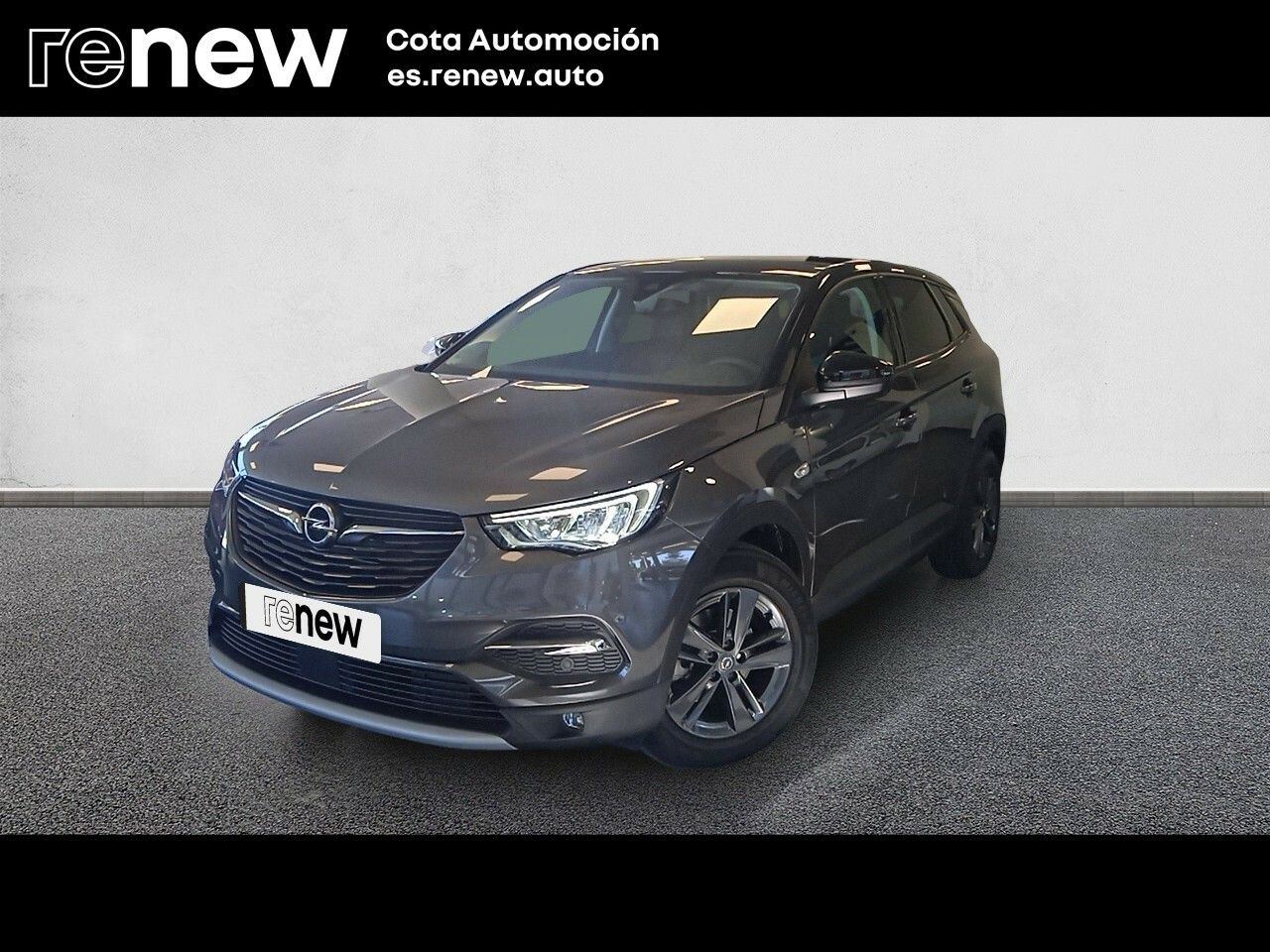 Foto opel grandland x 2021 /
