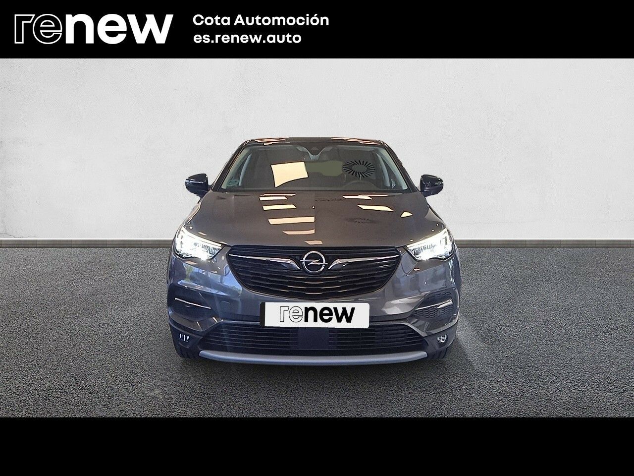 opel grandland x 2021 / foto grande (2)