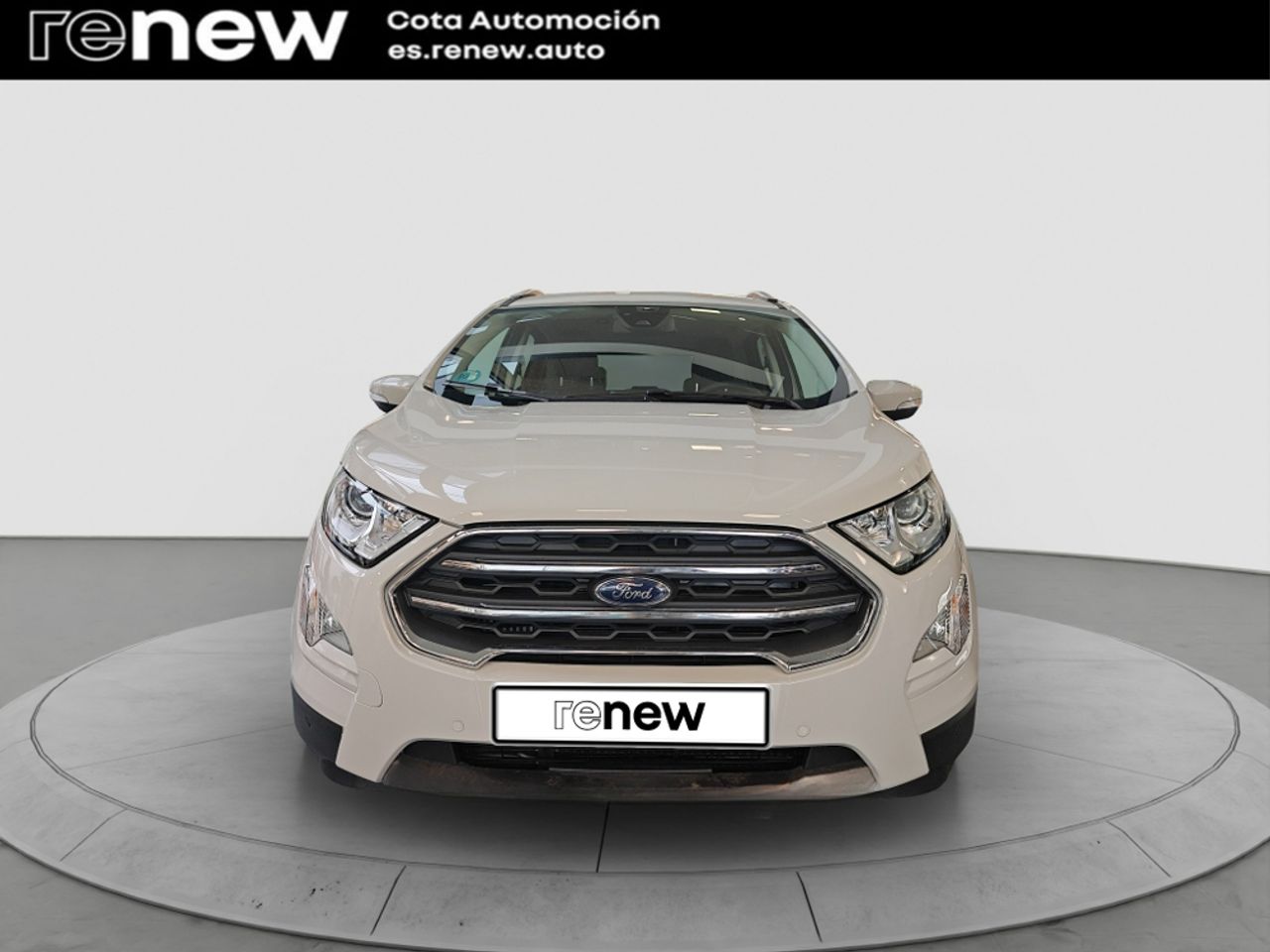 ford ecosport 2021 / foto grande (2)
