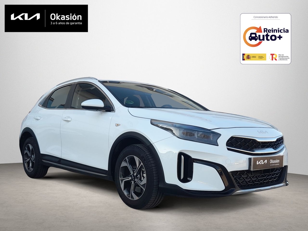 Crepera profesional disco 40x40  de segunda mano - kia xceed 2024 /