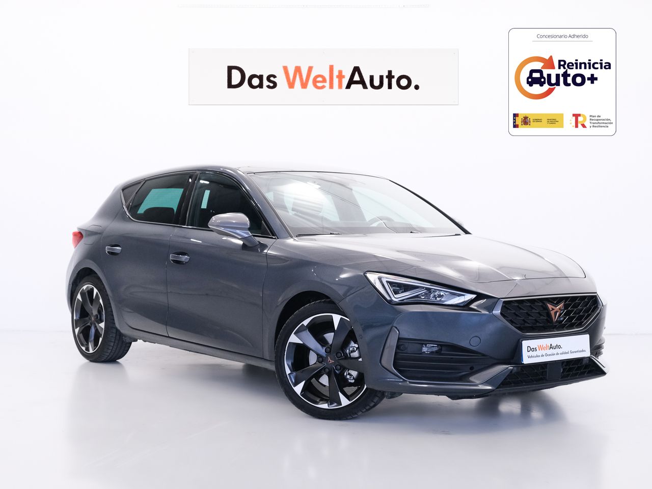 Foto cupra león 2024 /