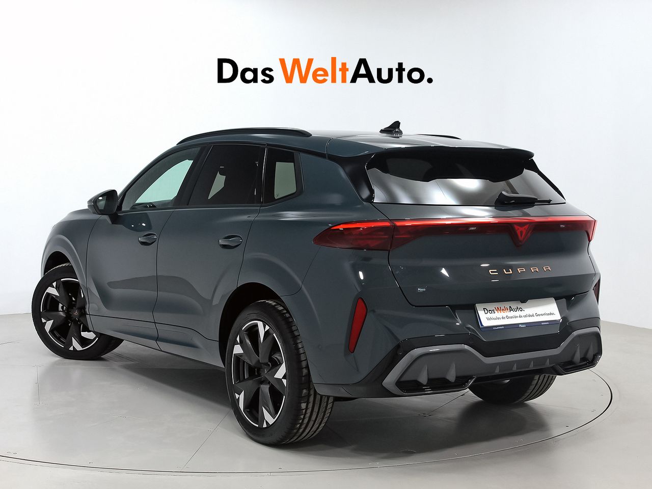 cupra terramar 2024 / foto grande (2)