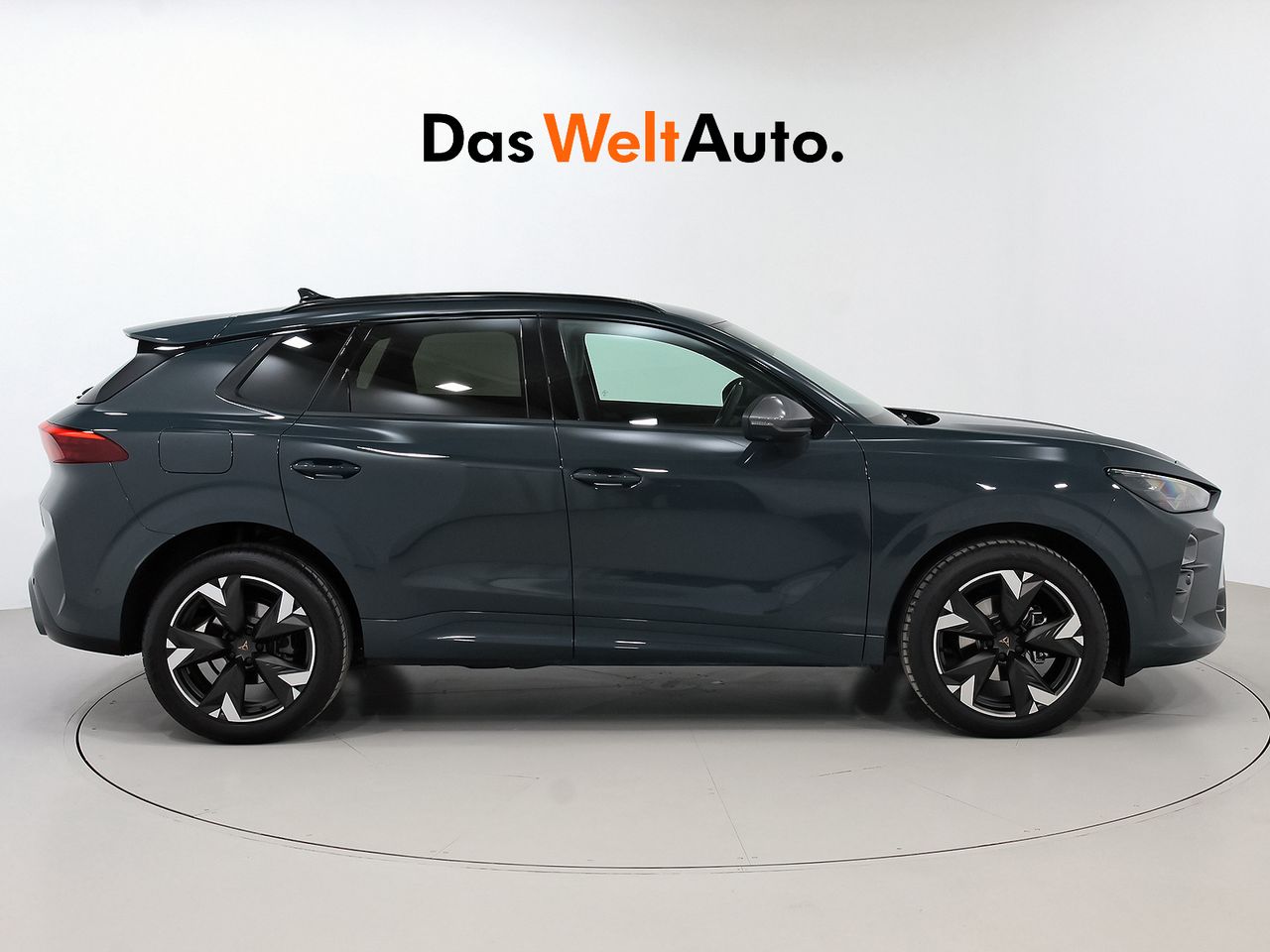 cupra terramar 2024 / foto grande (3)