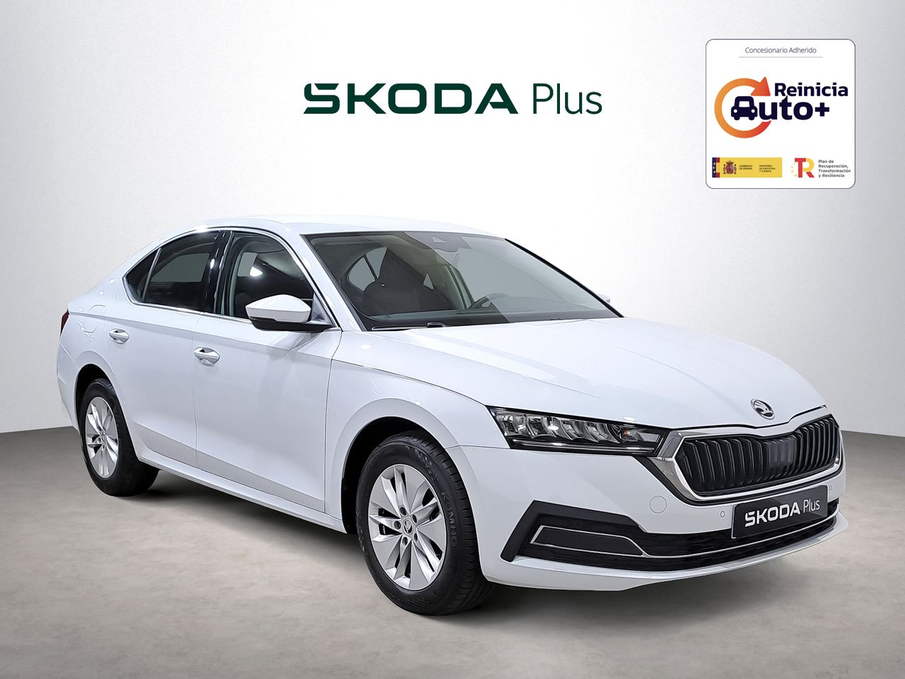 Foto skoda octavia 2024 /