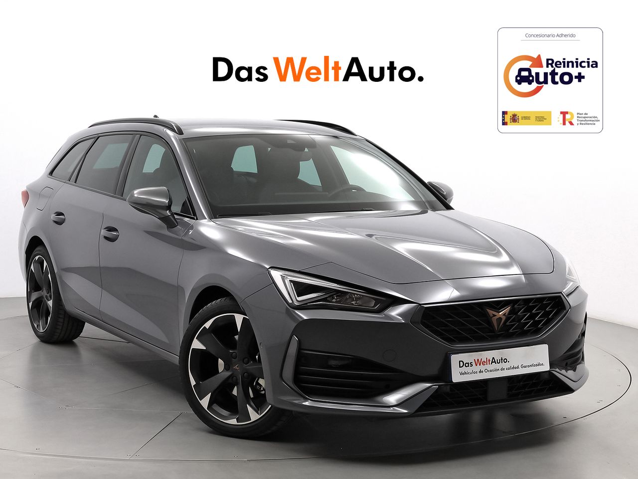 Foto cupra león 2024 /
