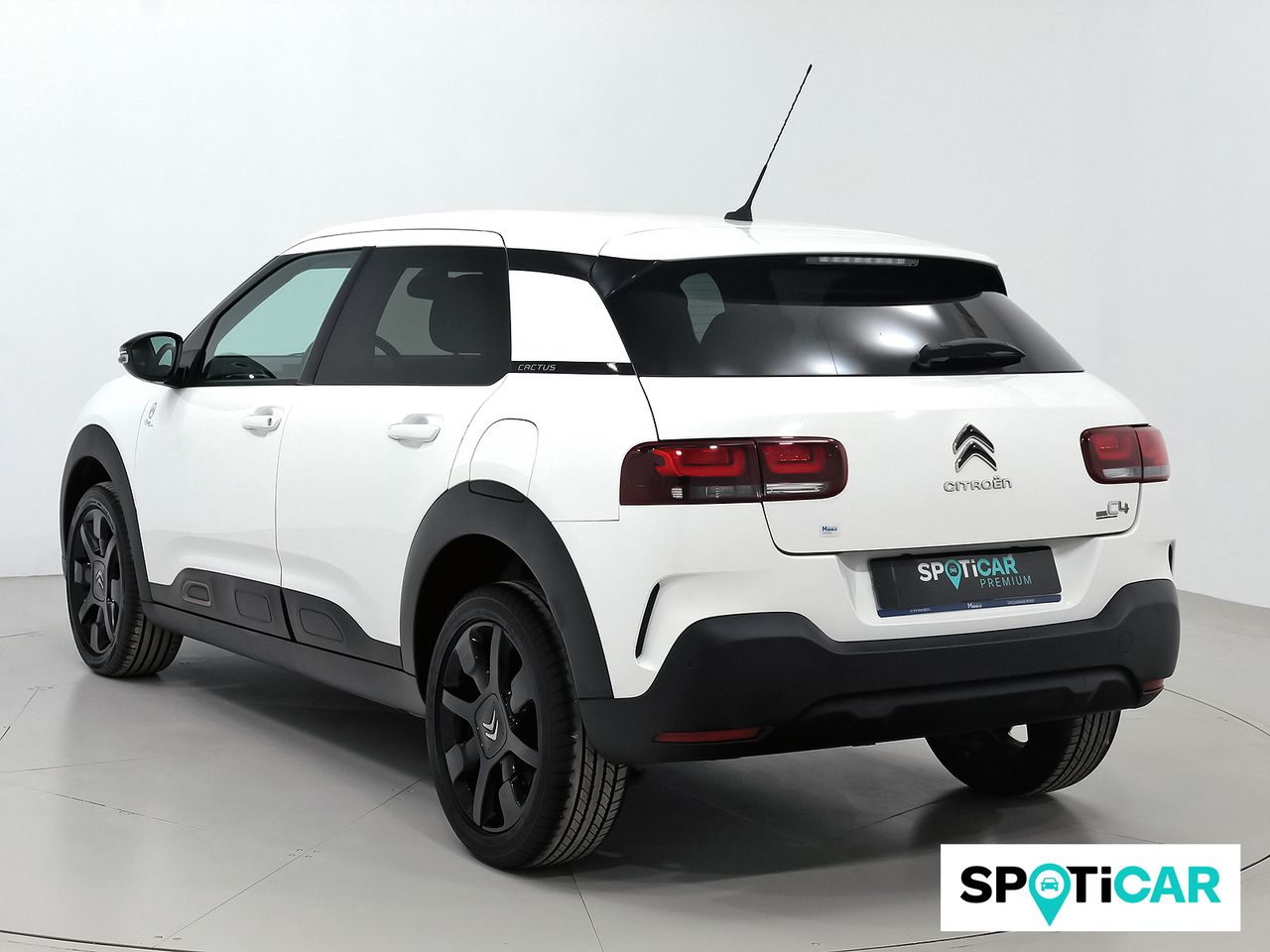 citroën c4 cactus 2020 / foto grande (2)