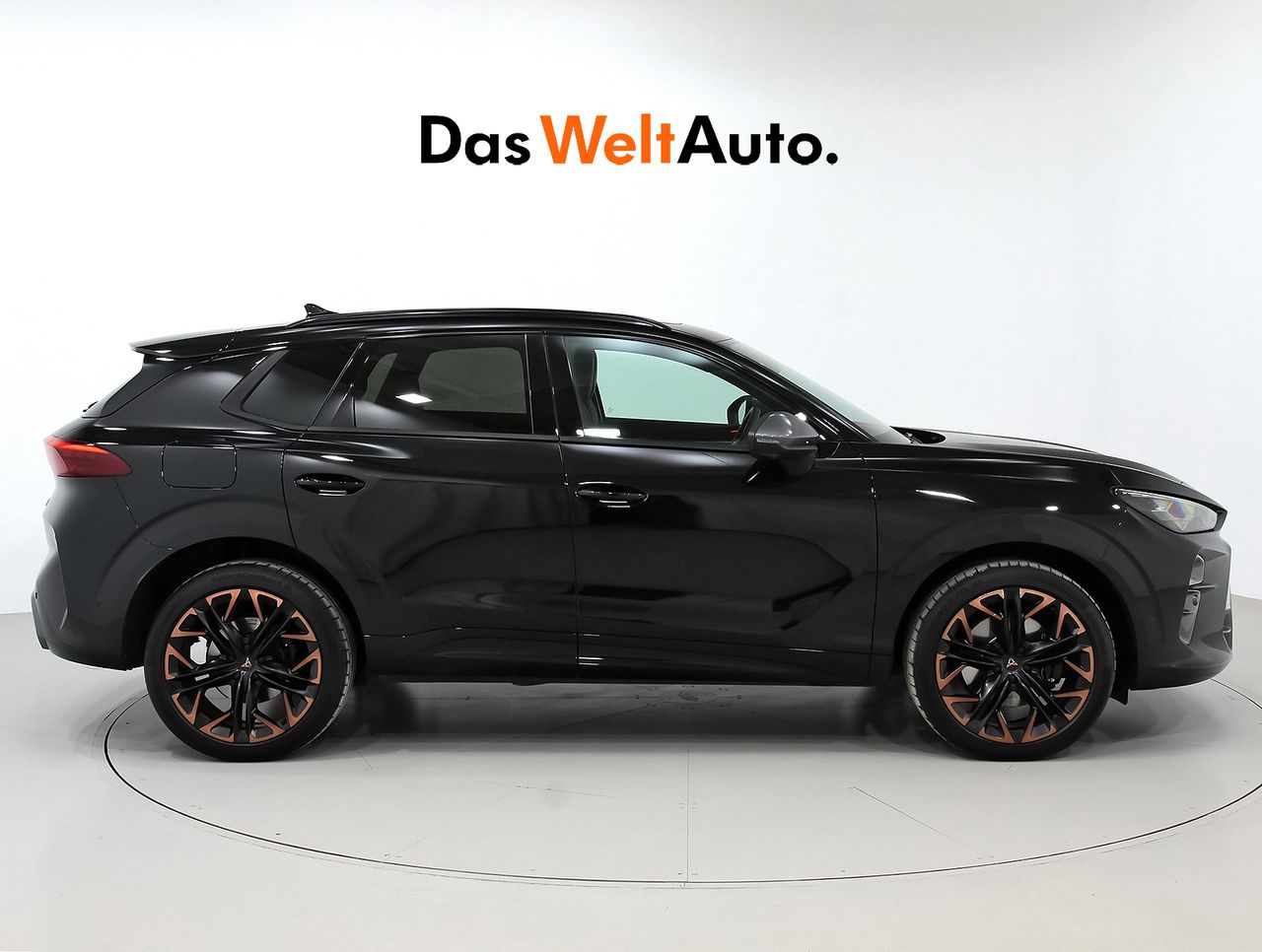 cupra terramar 2024 / foto grande (3)