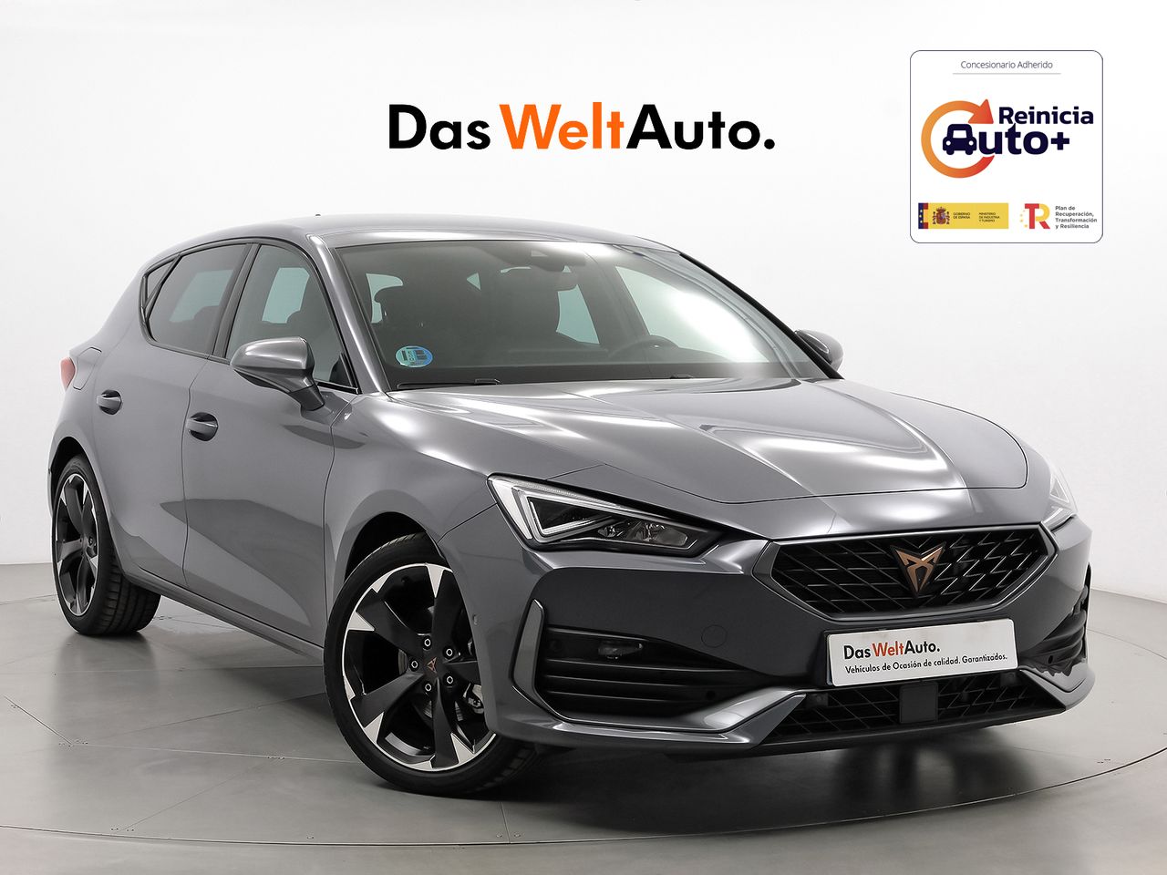 Foto cupra león 2024 /