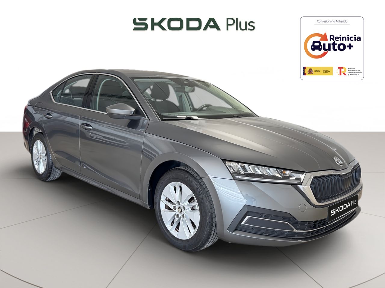 Foto skoda octavia 2024 /