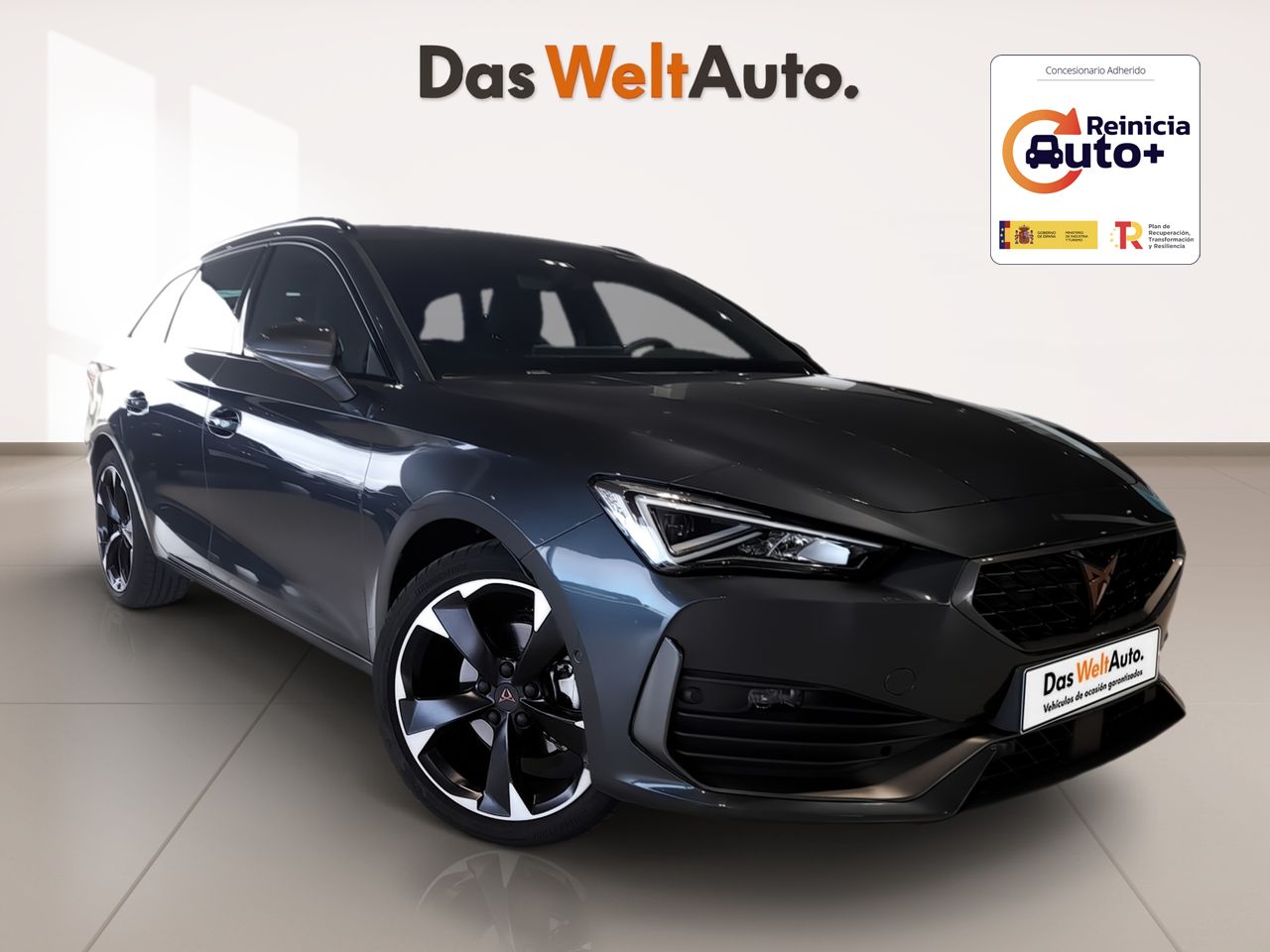 Foto cupra león 2024 /
