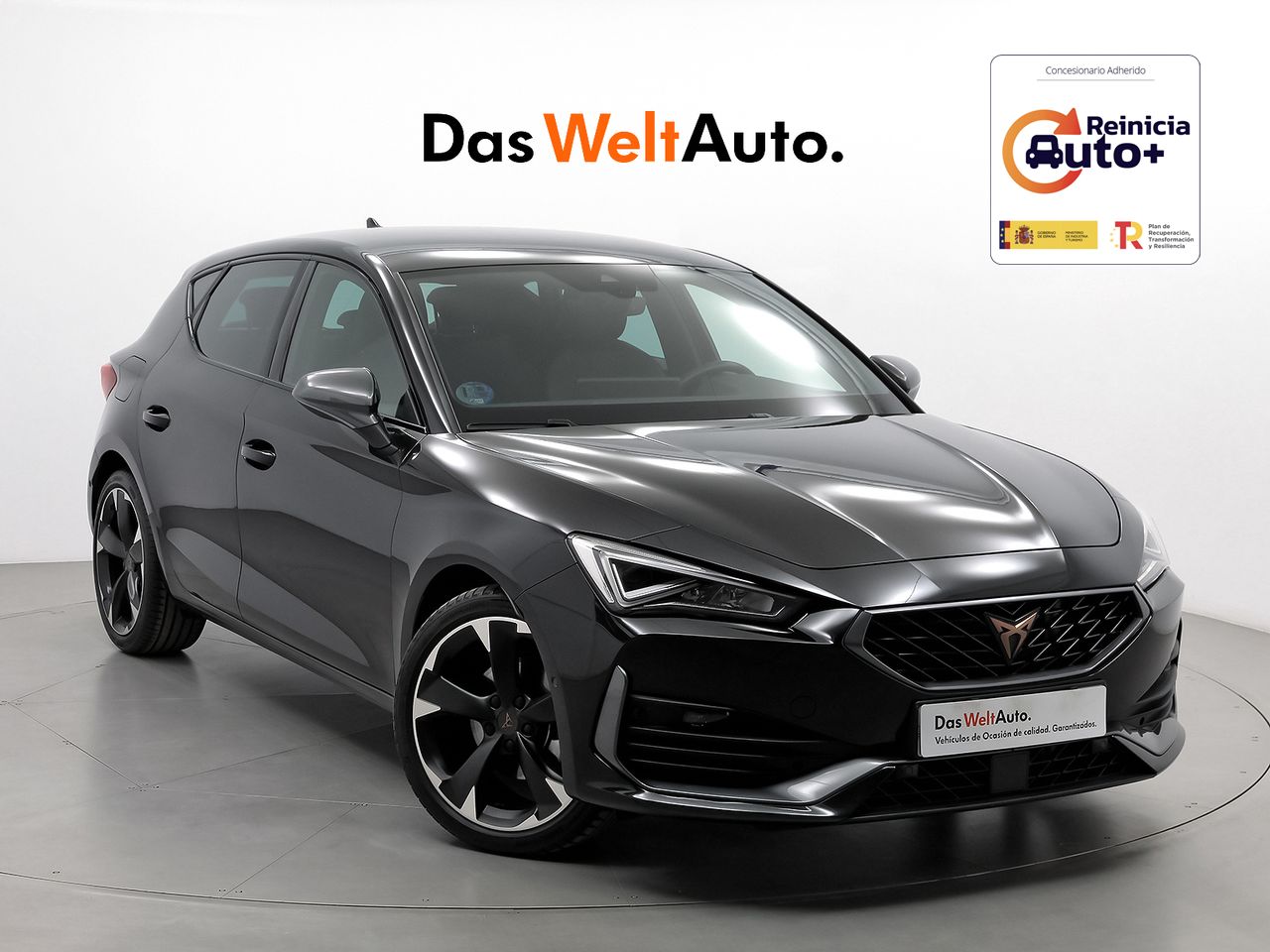 Foto cupra león 2024 /