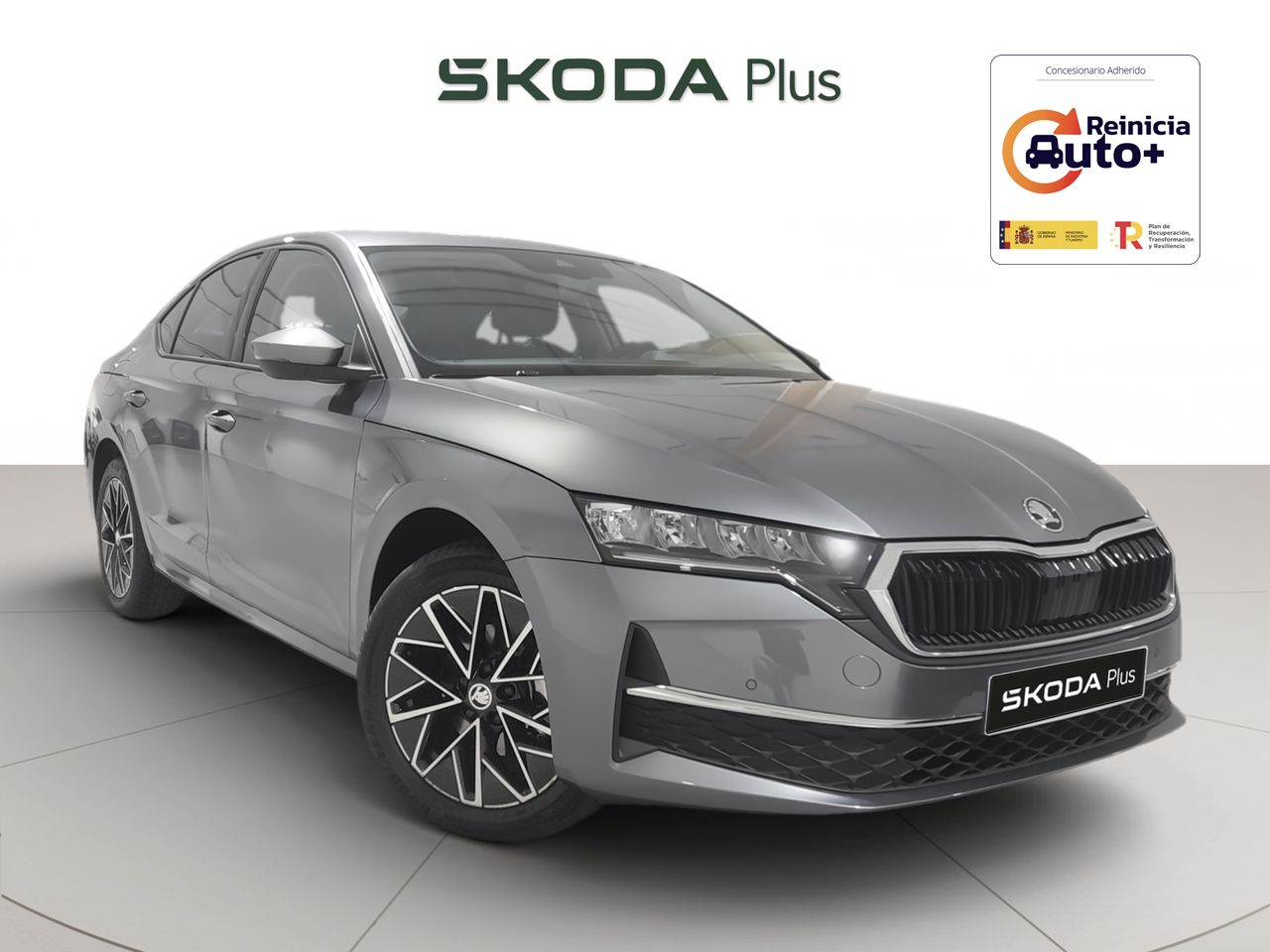 Foto skoda octavia 2024 /