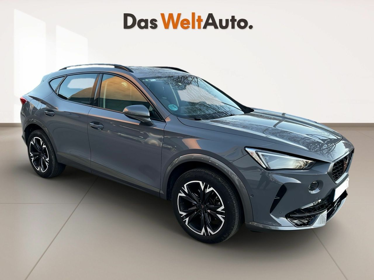 cupra formentor 2024 / foto grande (3)
