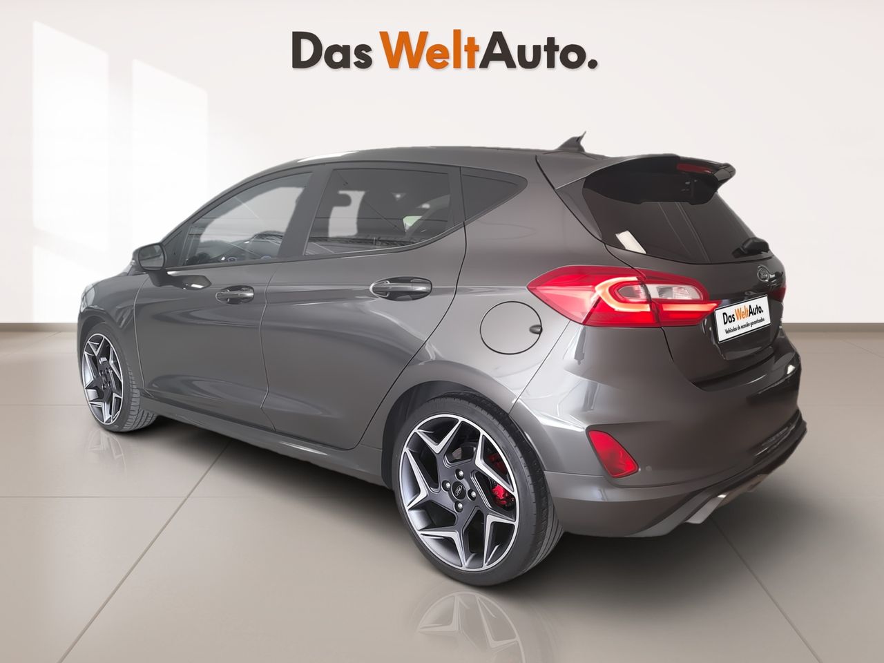 ford fiesta 2019 / foto grande (2)