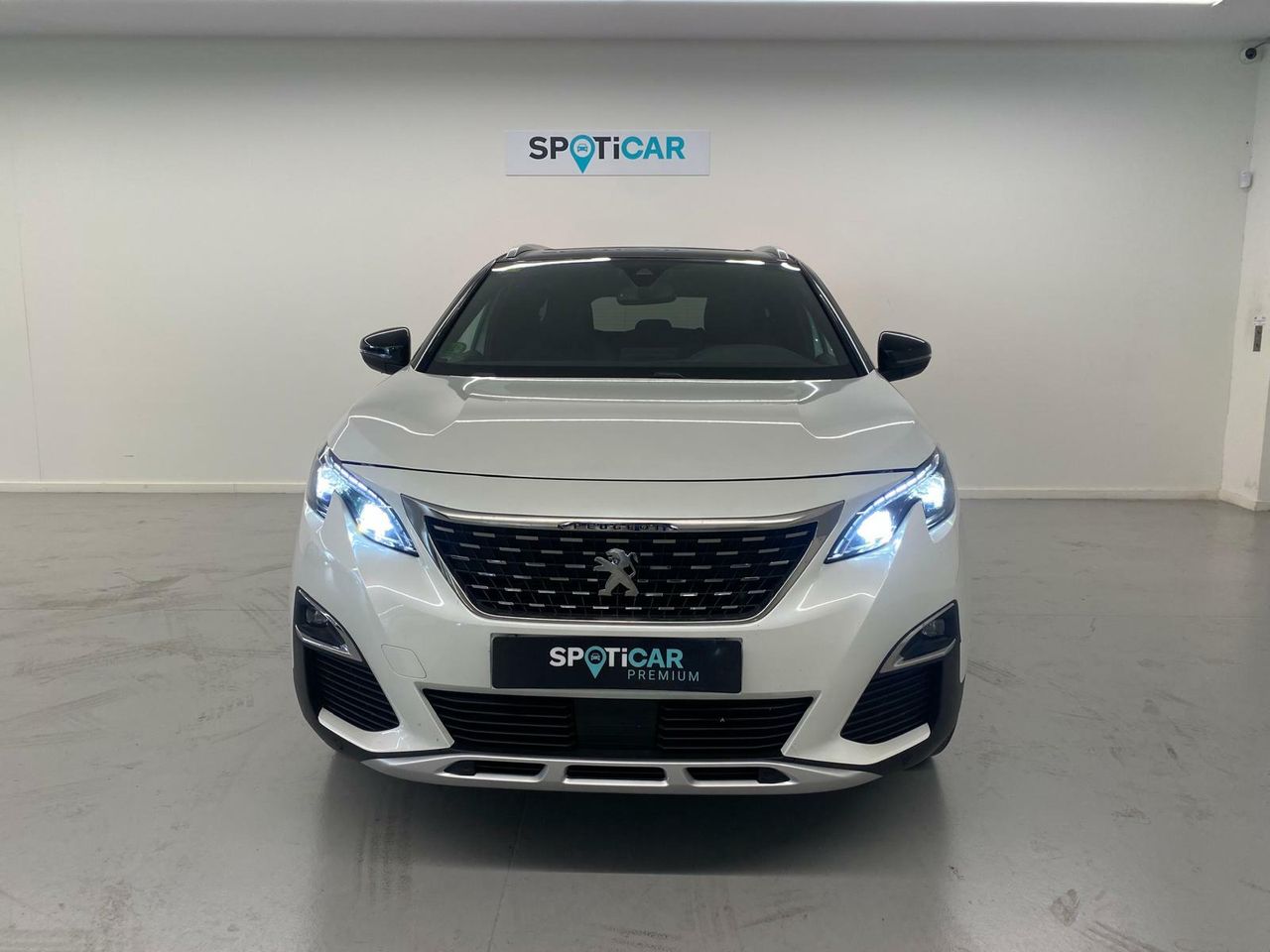 peugeot 5008 2019 / foto grande (2)