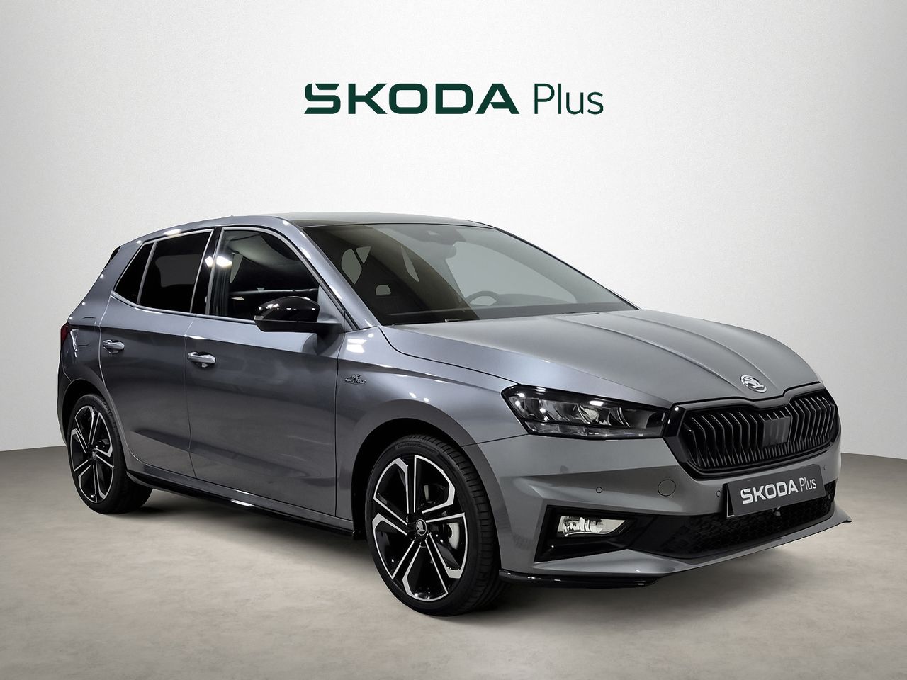 Foto skoda fabia 2025 /