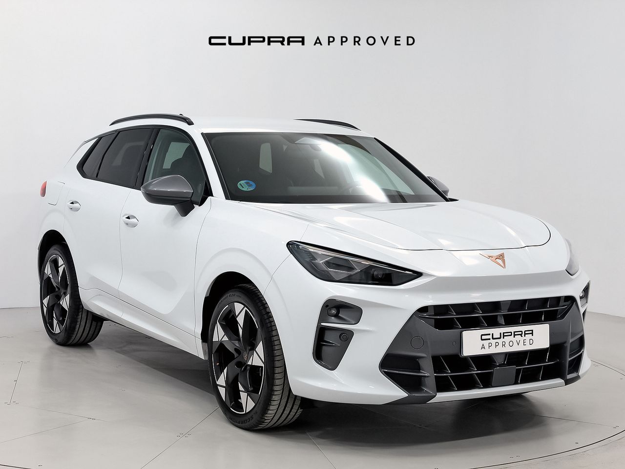 Brugt Cupra Terramar 1.5